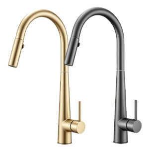 Arc Pull-Out Kitchen Mixer Arc Pull-Out Kitchen Mixer